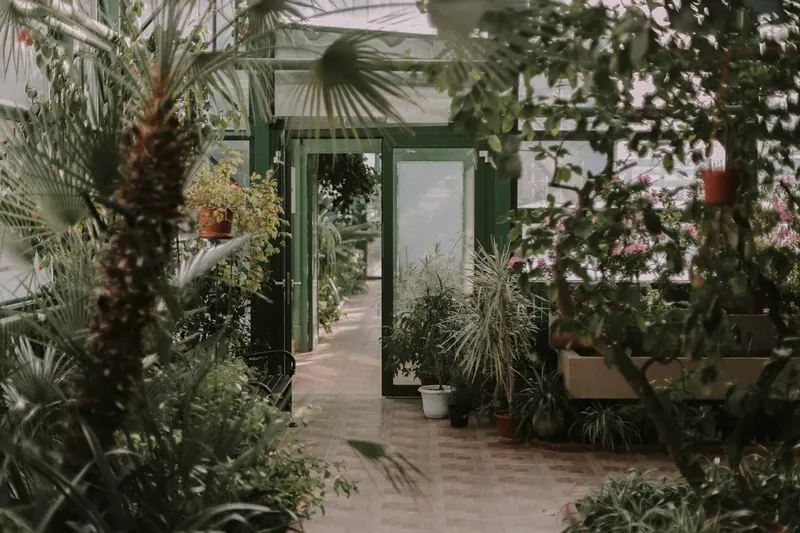 Gewächshaus eines botanischen Gartens